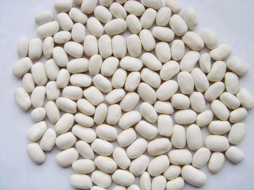 White Kidney Beans